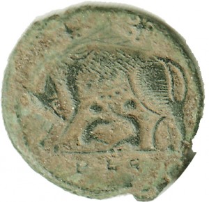 Coin photo