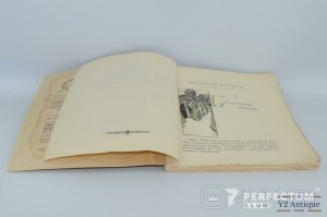 Заморский жених. Историческая повесть В. П. Лебедева. 1914