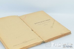 Твори. Книга I і ІІ. Дніпрова Чайка. 1919-1920