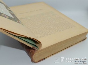 Gli amori di Dante raccontati da lui medesimo. Vita Nuova e Canzoniere. Stiavelli G. 1888