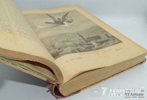 Gli amori di Dante raccontati da lui medesimo. Vita Nuova e Canzoniere. Stiavelli G. 1888