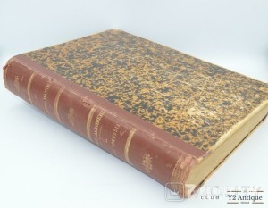 Gli amori di Dante raccontati da lui medesimo. Vita Nuova e Canzoniere. Stiavelli G. 1888