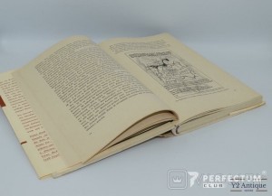 Der Sieg in Polen. Hrsg.v. Oberkommando der Wehrmacht. 1940