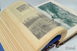 Illustrierte Geschichte des Weltkrieges 1914/17. 1917