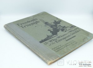 Freedom's Triumph: The Why, When And Where Of The European Conflict. 1919