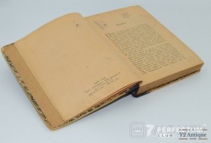 Твори. Божки. Том 19. Винниченко В. К. 1928