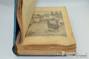 Полное собрание сочинений Т. Г. Шевченка. Л.М. Ротенберг 1914