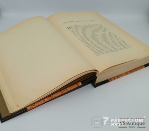 Флорентийские чтения. Леонардо да Винчи. 1914