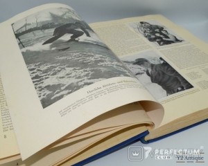 Альбом III рейх 3 тома. Хроника Олимпиады 1932-1936